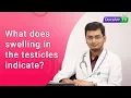 What does swelling in the Testicles Indicate