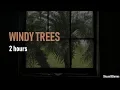 Download Lagu Windy Thunderstorm, Trees Blowing - 2 Hours Rain Sounds for Sleep, Study \u0026 Relaxation Download Lagu Windy Thunderstorm, Trees Blowing - 2 Hours Rain Sounds for Sleep, Study \u0026 Relaxation