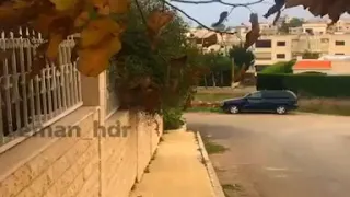 احكيلي احكيلي عن بلادي احكيلي فيروز حالات واتس اب صباح الخير 