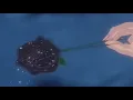 Afgan, Raisa - Percayalah ( slowed + reverb )