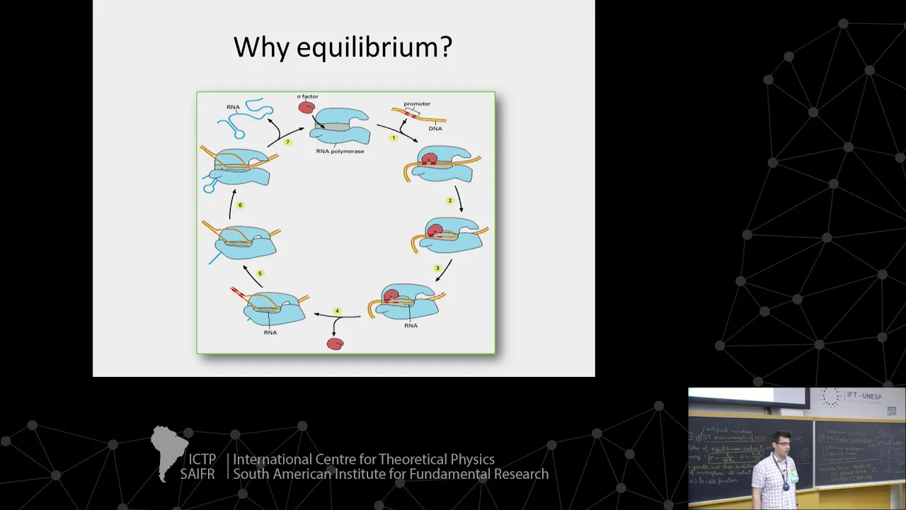 A biophysical approach to modeling biological systems and bioinformatics - 3 of 3