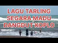 Download Lagu LAGU TARLING SEGARA MADU DANGDUT KOPLO