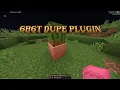 I Create 6b6t CactusDupe Remake Plugin