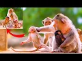 Download Lagu Hilarious Moment: Grandma Says N0 as Cute Bely Baby Tries to Play with Baby Berila