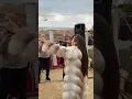 Download Lagu Georgiana Lobonț 😍🎤🎤 s-au uscat frunza și iarba