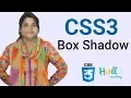 CSS3 basic tutorial Bangla box shadow