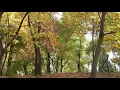 Soothing Morning Music | Morning Birds Meditation Music | Discover Fresh Music | Himalaya Nature |