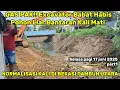 Download Lagu Gas Pak!! EXCAVATOR BABAT HABIS POHON LIAR BANTARAN KALI MATI|| NORMALISASI KALI BEKASI #dedimulyadi