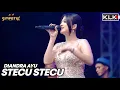 Download Lagu STECU STECU - DIANDRA AYU - LIVE SIMPATIK MUSIC KLK AUDIO - JURAGAN SAYUR DUWE GAWE