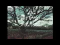 Golden Ganga - Aire (letra)