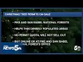 Christmas tree permits available from Pike-San Isabel National Forests