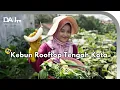 Download Lagu Inspirasi Kebun Atap di Perkotaan (Rooftop Garden)