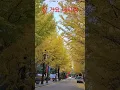 Download Lagu 잘 가요 내 사랑 Goodbye My Love/ 정동원