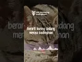Ciri-ciri Kucing Kedinginan! | Radio Kucing #Shorts
