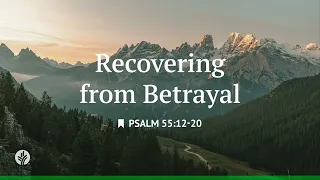 Recovering from Betrayal Reading Our Daily Bread Devotional July 28 2026