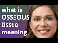 Osseous tissue meaning of Osseous tissue
