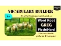 Word Root - Greg and derived words Illustrated Vocabulary L-4