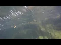 Raphine Swimming Hole