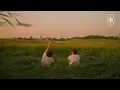 영재(YOUNGJAE) '도망치는 건 부끄럽지만(Escape To Me)' MV