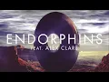 Sub Focus 'Endorphins' Feat. Alex Clare