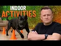 TOP 5 Indoor Activities Your Dog Will Love and Burns Energy FAST