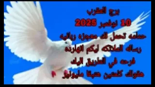 برج العقرب 10 نوفمبر 2025 حمامه تحمل لك معجزه ربانيه رساله الملائكه ليكم انهارده هتبقا مليونير 