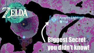 Biggest Secret you didn t know Apapes Lightroot