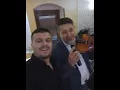 Live Mitel Dragulin
