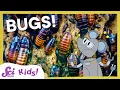 Respect the Insect SciShow Kids Compilation