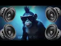 Download Lagu BASS BOOSTED|MUSIC|JBL MIX