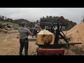 The First American Bass Wood We Have Ever Sawed