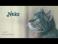Neko - DISH// (Vietsub)