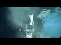 Fluyendo | Official Music Video - Ayla Schafer