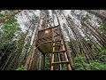 Download Lagu Man Built a SHELTER in a Tree from Bears in 13 Days