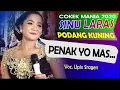 Download Lagu Sinu laras terbaru 2020 Podang Kuning cokek sragenan JOS