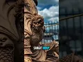 Download Lagu Patung Kera Sakti Ukiran Kayu | Sun Go Kong Legendaris ‼️😱 #viral #shorts #kerasaktiindonesia