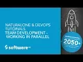 Team Development - Working in Parallel