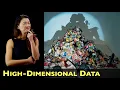 Visualizing High-Dimensional Data