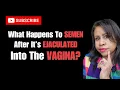 Where Does Semen Go After It Is Ejaculated In a Vagina