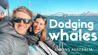 Sailing SYDNEY HARBOUR in Australia!   |    Ep 9