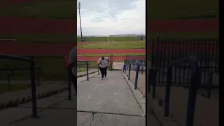                     دندنها