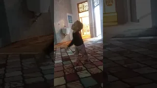كوتي شطور كوتي امور كوتي يحياتي يكيوتي  كوتي شطور كوتي امور كوتي يحياتي يكيوتي