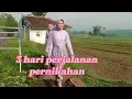 Lagu Pernikahan 2 Suku Padang \u0026 Sunda