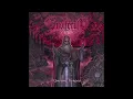 Ensiferum - In My Sword I Trust