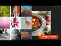 Responsive Image Gallery with multiple effects Lightbox Gallery Fancybox Gallery