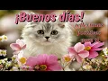 El mas hermoso con imagenes bonitas de buenos dias para ti reflexiones positivas