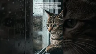 She Just Watched The Rain Fall And Dreamed Of The Sun كانت فقط تراقب المطر وتحلم بالشمس 