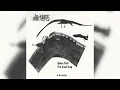 Aphex Twin / The Black Dog - In-Store Ambients (IDM, Ambient) (1995)