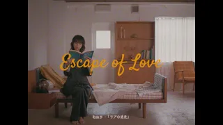 ラブの逃走／和ぬか【Music Video】
