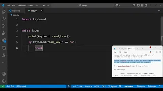 Python 3 Pynput Library Script to Detect Which Keyboard Key is Pressed and Display Info in Terminal